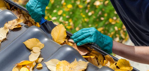 Gutter cleaning