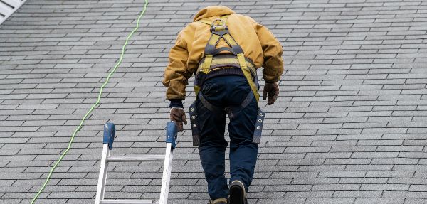 Roof inspection 