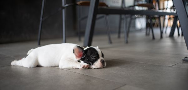 Tile floor