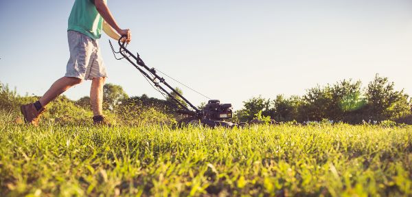 Yard maintenance