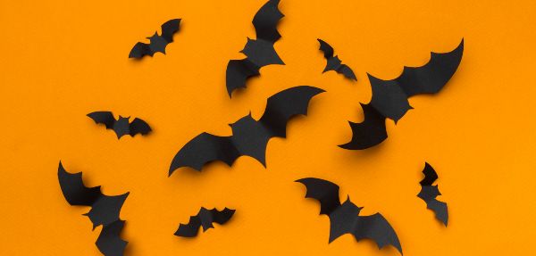 Halloween Bat Decorations