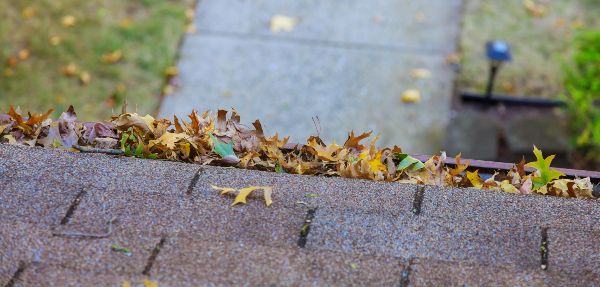 How do I know if my gutters are clogged?