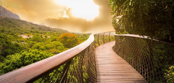 Kirstenbosch Gardens 