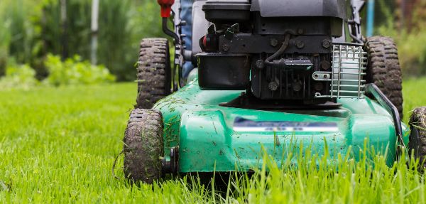 Mowing Down Weeds