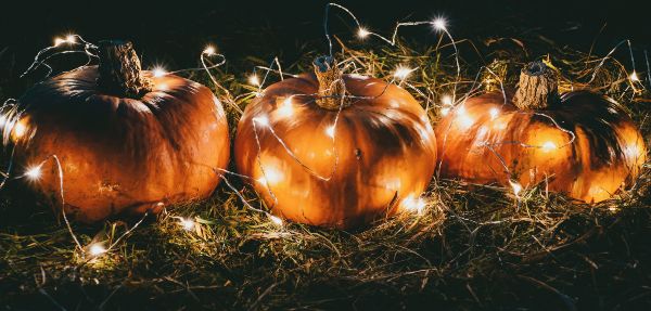 Pumpkin string lights