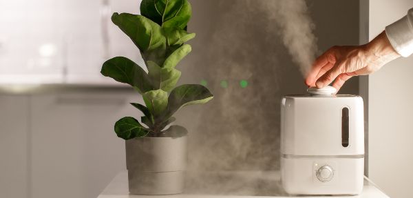 How often do you need to clean an air humidifier