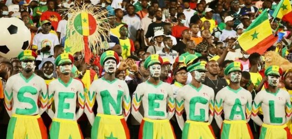 Which African Teams Are Taking Part In The 2022 World Cup?