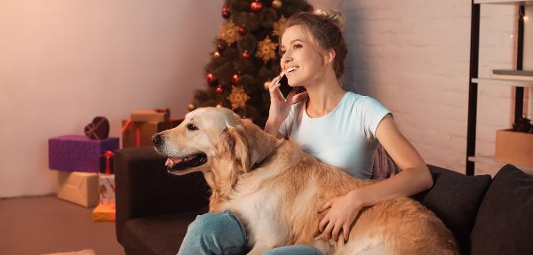 Keeping pets cool indoors