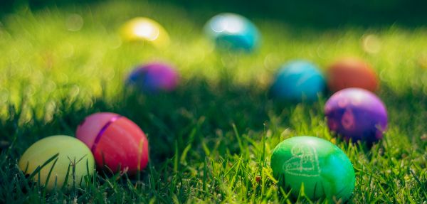 Easter Egg Roll