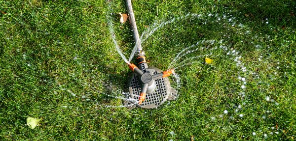 Sprinkler shooting water