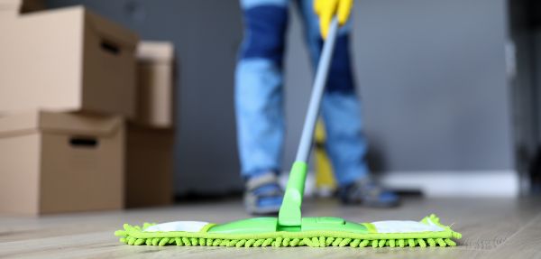 Why Choose Professional Cleaning Services?