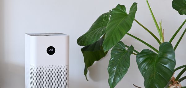 White air purifier and houseplant in the living room for fresh air.