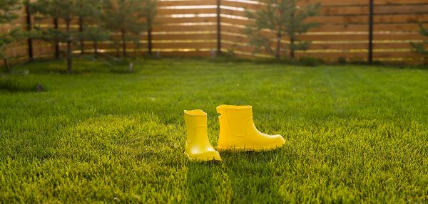 Yellow boots on a green lawn.