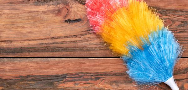 Colourful feather duster on a wooden surface.