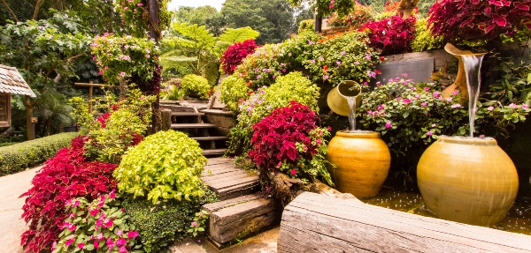 A colourful garden with an array of different plants, as well as a water feature