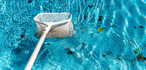 Pool net picking up leaves