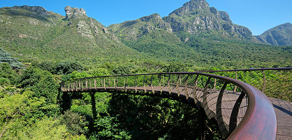 Outdoor bridge in the Kirstenbosch Botanical Gardens, Cape Town