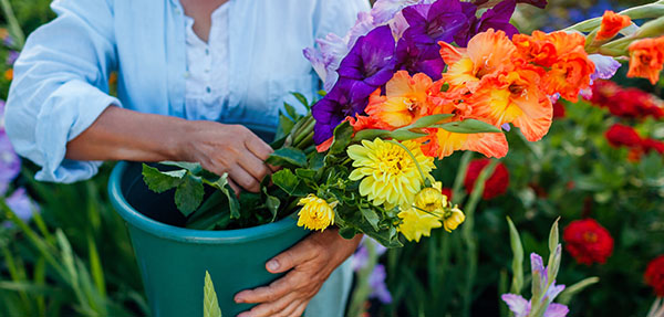 Close-up shot of a person holding a bunch of flowers