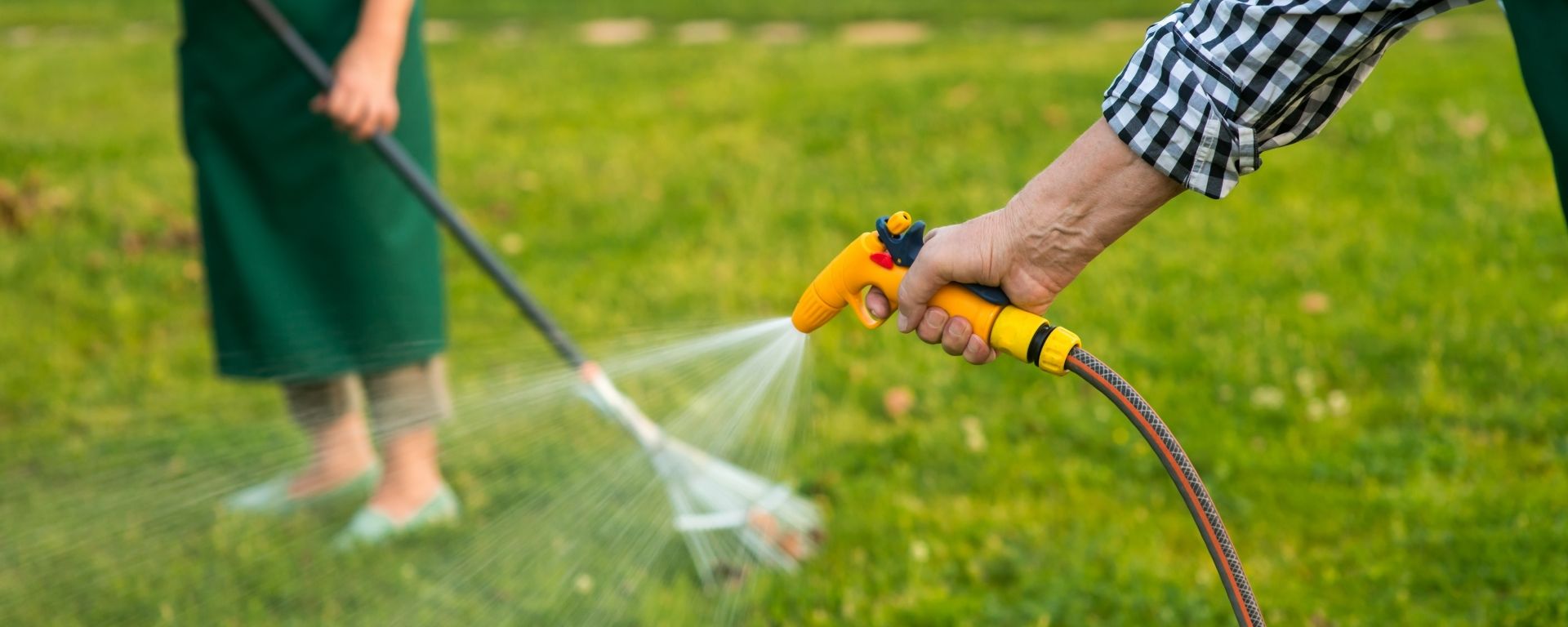 6 Spring Lawn Care Tips For A Beautiful Lawn All Year Long