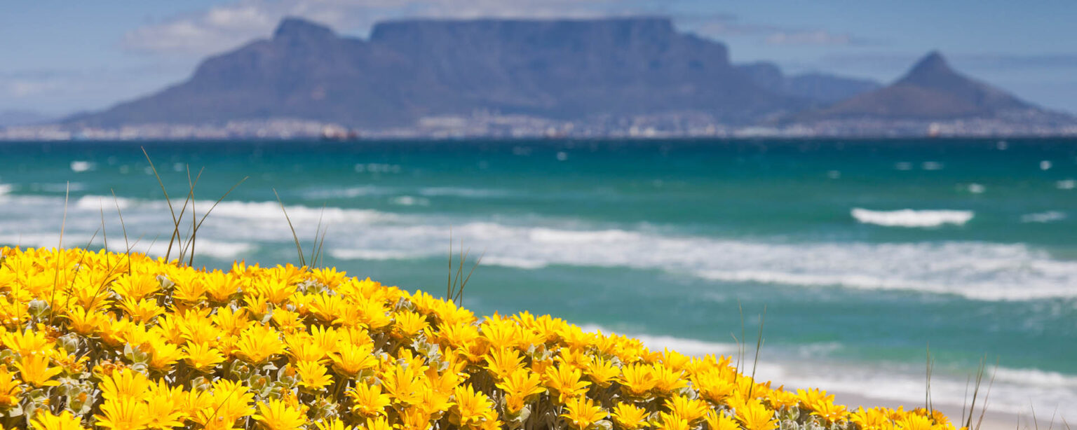 Top 10 Spring Activities in Cape Town Embrace the Vibrant Season