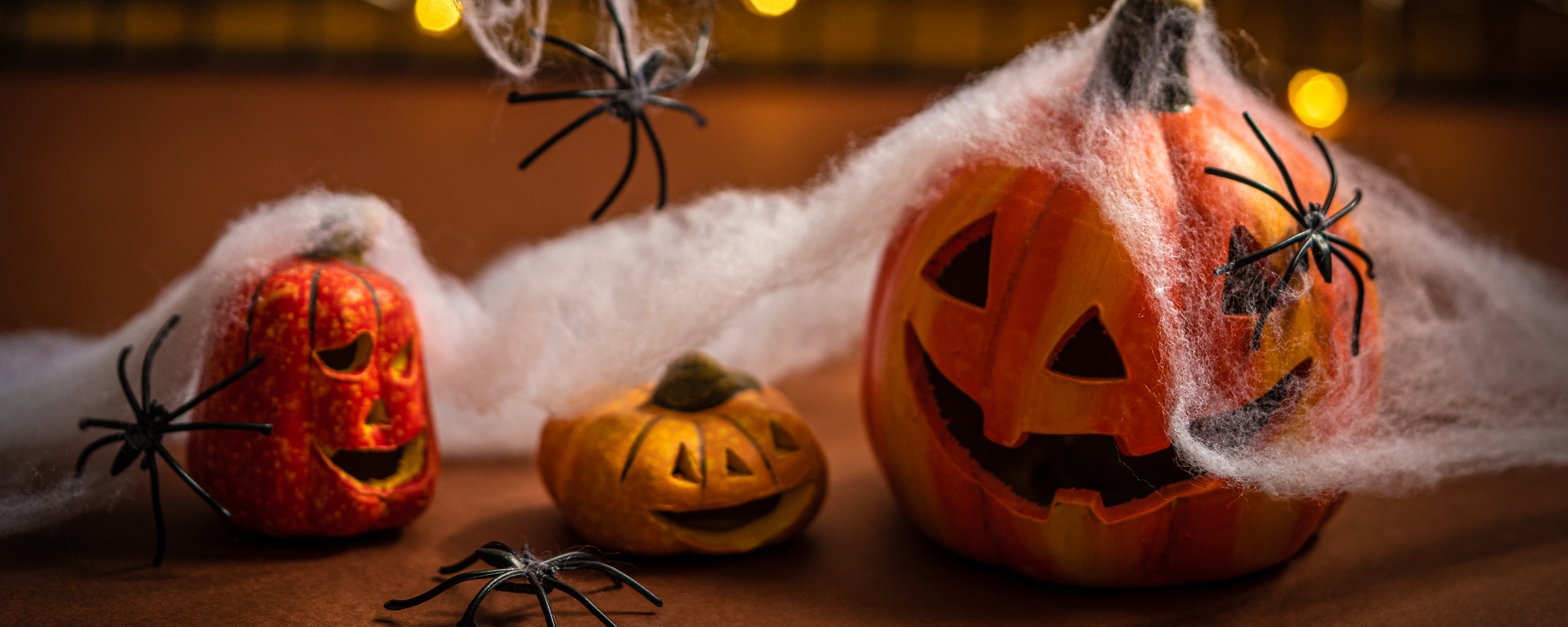 Where to Get the Best Halloween Decorations in South Africa