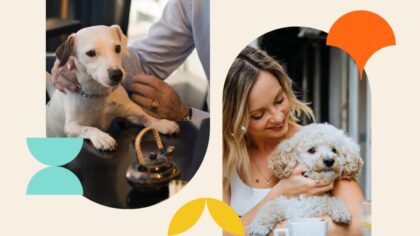 pet-friendly summer activities