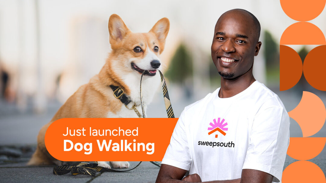 Walkies made easy! Introducing Dog Walking by Sweepsouth