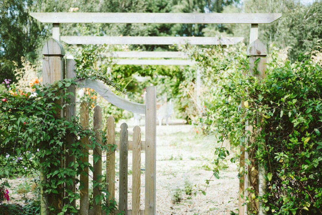 seasonal garden prep