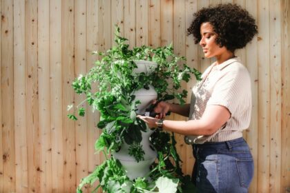 autumn garden cleaning
