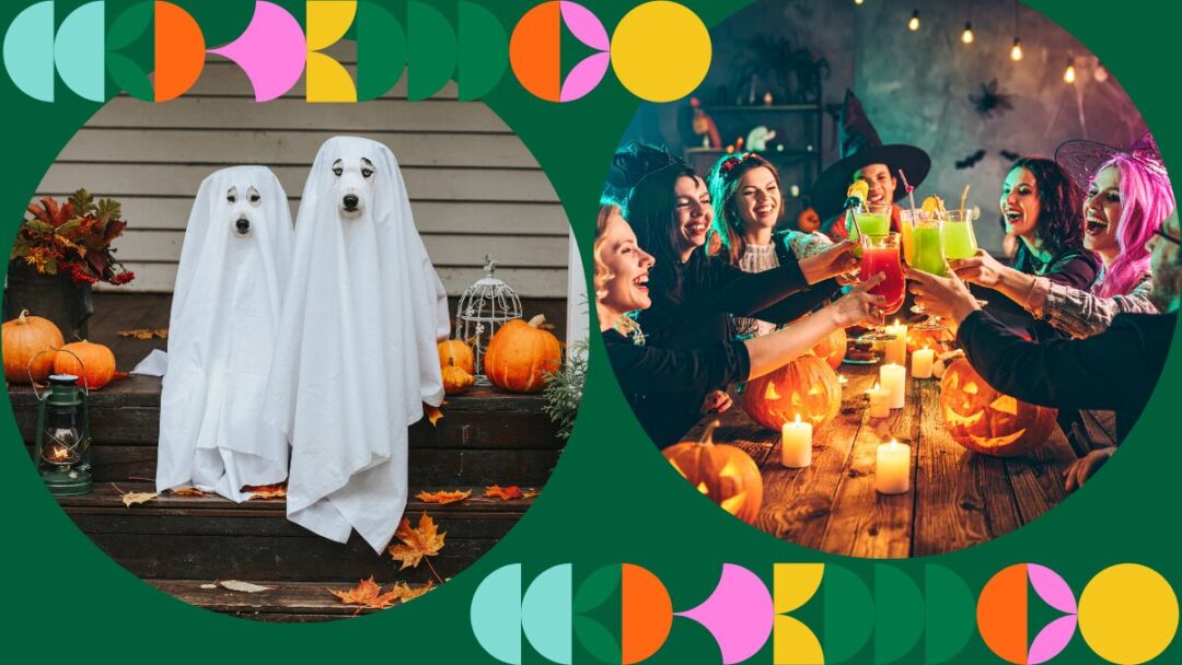 No tricks, just treats: how to get a clean home after Halloween