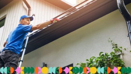 gutter cleaning