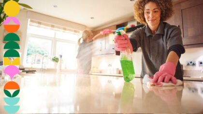 house cleaner