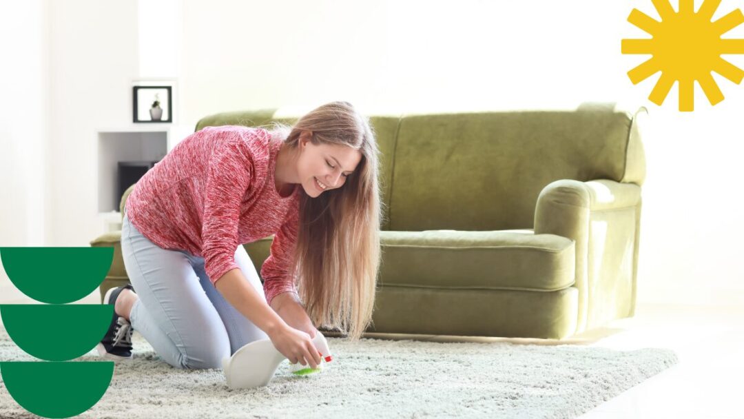 clean carpets